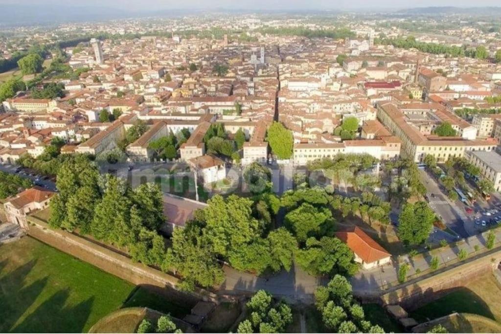 شقة 50 Metri Duomo Di Lucca Self Check-In E Wi-Fi المظهر الخارجي الصورة